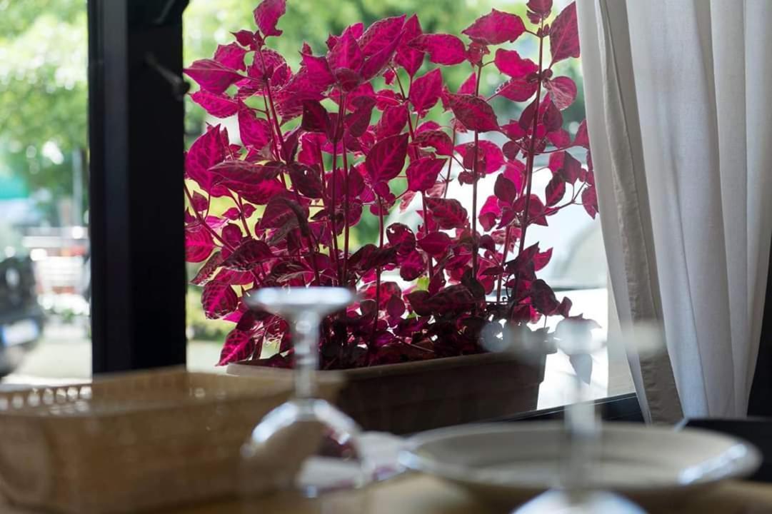 Hotel Annarita Rimini Luaran gambar